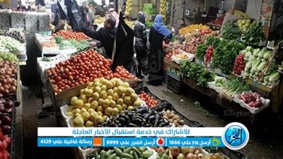 أسعار الخضروات والفاكهة اليوم الجمعة في أسواق الإسماعيلية 