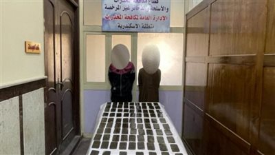 ضبط 450 طربة حشيش بحوزة عناصر إجرامية بالإسكندرية والمنوفية