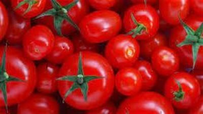 نقيب الفلاحين يوضح أسباب انهيار أسعار الطماطم ويقترح حلولًا لتجنب الخسائر