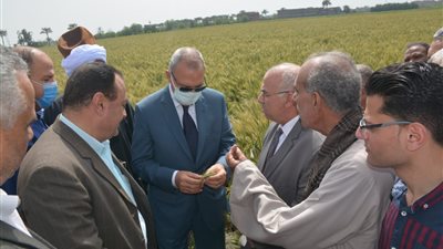 صور.. محافظ القليوبية يلتقي بعدد من المزارعين لحثهم على توريد القمح