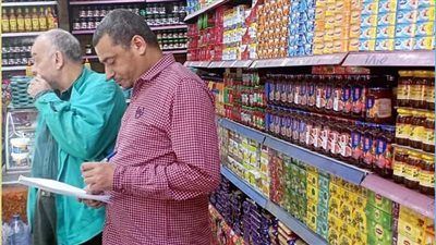 ضبط 27 طن لحوم غير صالحة للاستهلاك بالإسكندرية (صور)