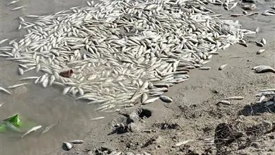 الجيش الأمريكي يتسبب بـ 