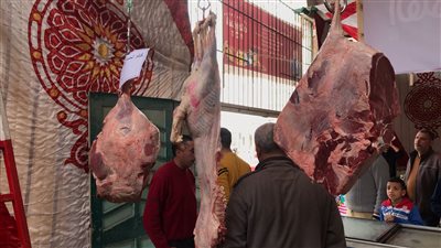 ضبط مخالفات بالجملة وتحرير 34 محضرا في حملات تموينية بالدقهلية 