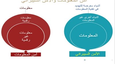 الأمن السيبرانى.. دورة تدريبية بكلية التربية جامعة حلوان