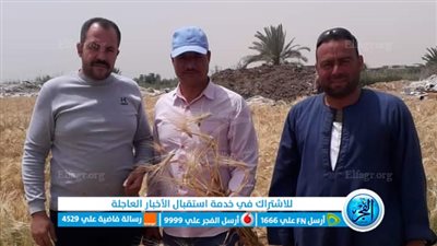 وكيل زراعة الفيوم: حملات مكثفة على الحقول لحل مشاكل المزارعين