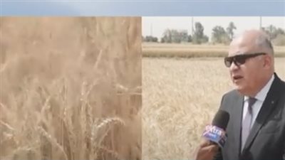 محافظ قنا يزف بشرى سارة عن محصول القمح هذا العام (فيديو)