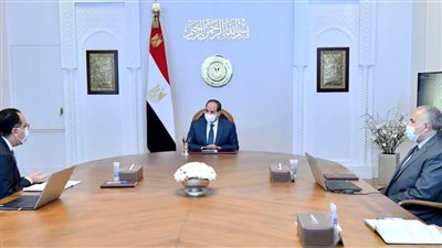 عاجل.. السيسي يصدر توجيها جديدا إلى وزير الري