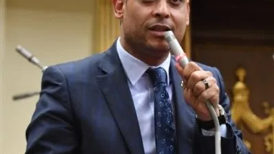 صناعة النواب: فوز الشركات الصغيرة بـ 73% انحياز لمشاركة القطاع الخاص بالتنمية