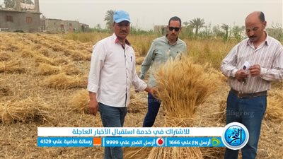 وكيل زراعة الفيوم يشدد على متابعة حصاد وتوريد القمح بجميع المراكز