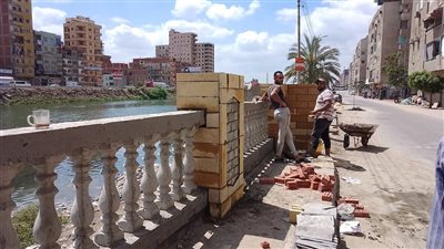 تجميل وتطوير ونظافة بشوارع الدقهلية (صور) 