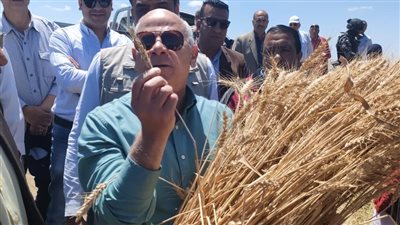 توريد حصاد القمح.. محافظ بورسعيد يقدم حافز إضافي 65 جنيها للإردب