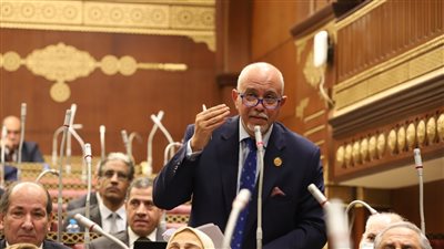 برلماني: الرئيس السيسي أعاد الحياة لمشروع توشكى