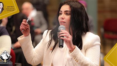 برلمانية تعرض طلب مناقشة عامة لشفافية الرقابة على أموال التبرعات 