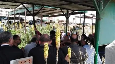 تعرض صحفيين للاعتداء خلال تشييع جثمان والدة الفنانة سمية الخشاب بالإسكندرية 