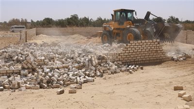 الجيزة تسترد 170 فدانا زراعيا و3 آلاف متر مباني بالواحات البحرية 