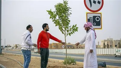 أمانة القصيم تكثف أعمال تشجير الطرق الرئيسة بمدينة بريدة