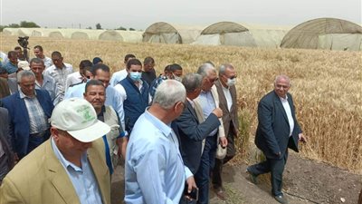 وزير الزراعة: السعة الإجمالية لصوامع القمح ارتفعت 4.5 مليون طن خلال 9 سنوات