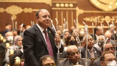 برلماني: تشجيع الاستثمار والقطاع الخاص السبيل الأهم للخروج من الأزمة الاقتصادية الحالية