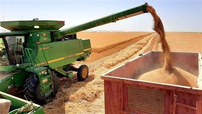 الزراعة: استخدام أحدث الآلات في حصاد محصول القمح يقلل الفاقد (فيديو)