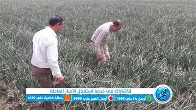 وكيل زراعة الفيوم يطالب بتكثيف المرور على الزراعات وتوعية المزارعين 