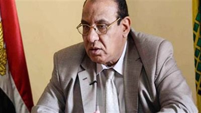 رئيس اتحاد الجمعيات الأهلية: سجن الغارمات عقوبة للأسرة المصرية