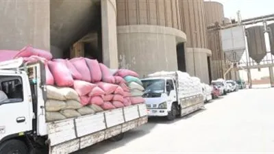 الزراعة: نستهدف توريد 6 مليون طن قمح بنهاية موسم الحصاد (فيديو)
