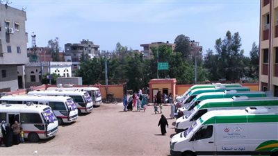 الكشف على 1274 مريضا خلال يومين في قافلة طبية مجانية بالدقهلية (صور)