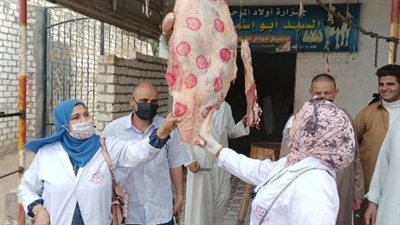 قبل عيد الفطر.. بيطري الشرقية يضبط 535 كيلو لحوم وأسماك ورنجة مخالفة 