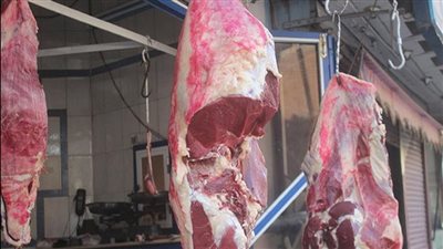 بيطري قنا: عمل نوبتجيات وإلغاء الراحات لأطباء المجازر تزامنًا مع عيد الفطر