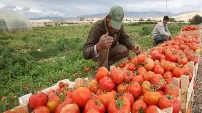 خبير اقتصادي يكشف أسباب نجاح الشركات المصرية في إبرام تعاقدات بـ 30 مليون يورو
