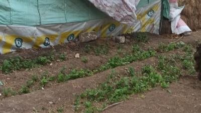 حملات مكثفة لمنع تعديات البناء في الدقهلية خلال إجازة العيد (صور)