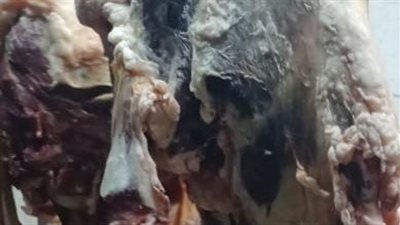 تحرير 114 محضر تموينى وضبط لحوم منتهية الصلاحية بالمنوفية