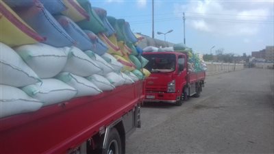 الغربية تستقبل 2278 طن قمح (صور)