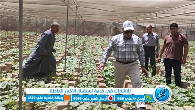 وكيل زراعة الفيوم يتابع أعمال لجان فحص القطن 