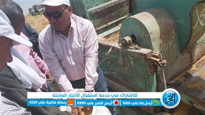 وكيل زراعة الفيوم: 300 % زيادة في محصول القمح 