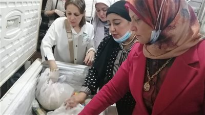 صحة المنوفية تشن حملات تفتيشية مكبرة على المنشآت الغذائية خلال إجازة عيد الفطر