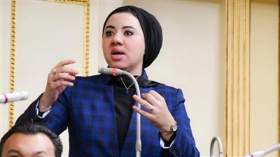 النائبة أميرة صابر: إجراء الانتخابات بشكل ديمقراطي يعد طريقة صحية للحياة السياسية