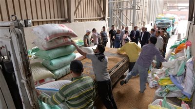 محافظ الدقهلية يتفقد توريد القمح في صوامع ميت غمر 