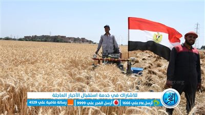 محافظ الفيوم: توريد 22214 طنًا من الأقماح بشون وصوامع المحافظة