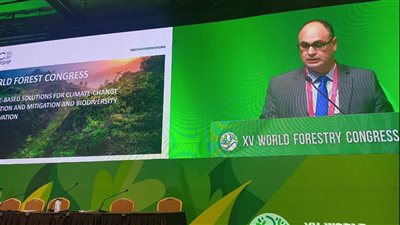 وزارة البيئة تشارك بالمؤتمر العالمى للغابات الخامس عشر بكوريا الجنوبية