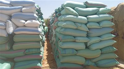 الغربية تستقبل 24894 طن من القمح فى مختلف صوامع المحافظة (صور)