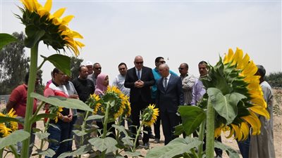 بسبب شكاوى أهالي الجبلاو.. تطهير وإعادة تخطيط الغابة الشجرية في قنا