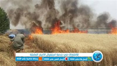 السيطرة على حريق بمحصول قمح بزراعات قرية أقفهص ببني سويف