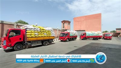 توريد 32 ألف طن قمح لشون وصوامع البحيرة (صور)