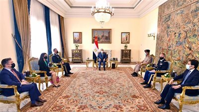 الرئيس السيسي يؤكد أهمية التعاون العسكرى المشترك بين مصر والولايات المتحدة 