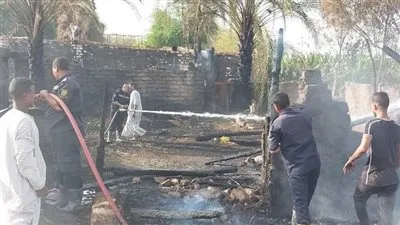نفوق 10 رؤوس ماشية في حريق حظيرة جنوب الأقصر