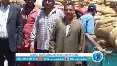 وكيل زراعة الفيوم: قيادات المديرية تكثف متابعة حصاد وتوريد القمح 