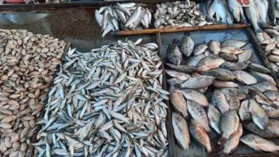 اسعار الاسماك في مصر اليوم الخميس 12 مايو 2022