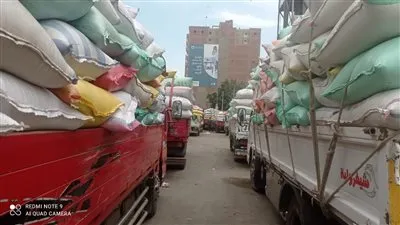 زراعة المنوفية: الانتهاء من حصاد 66،998 فدانا و12 قيراطا من محصول القمح