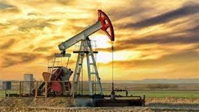 أوبك تخفض الطلب على نفطها في عام 2022